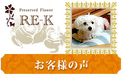 main_title